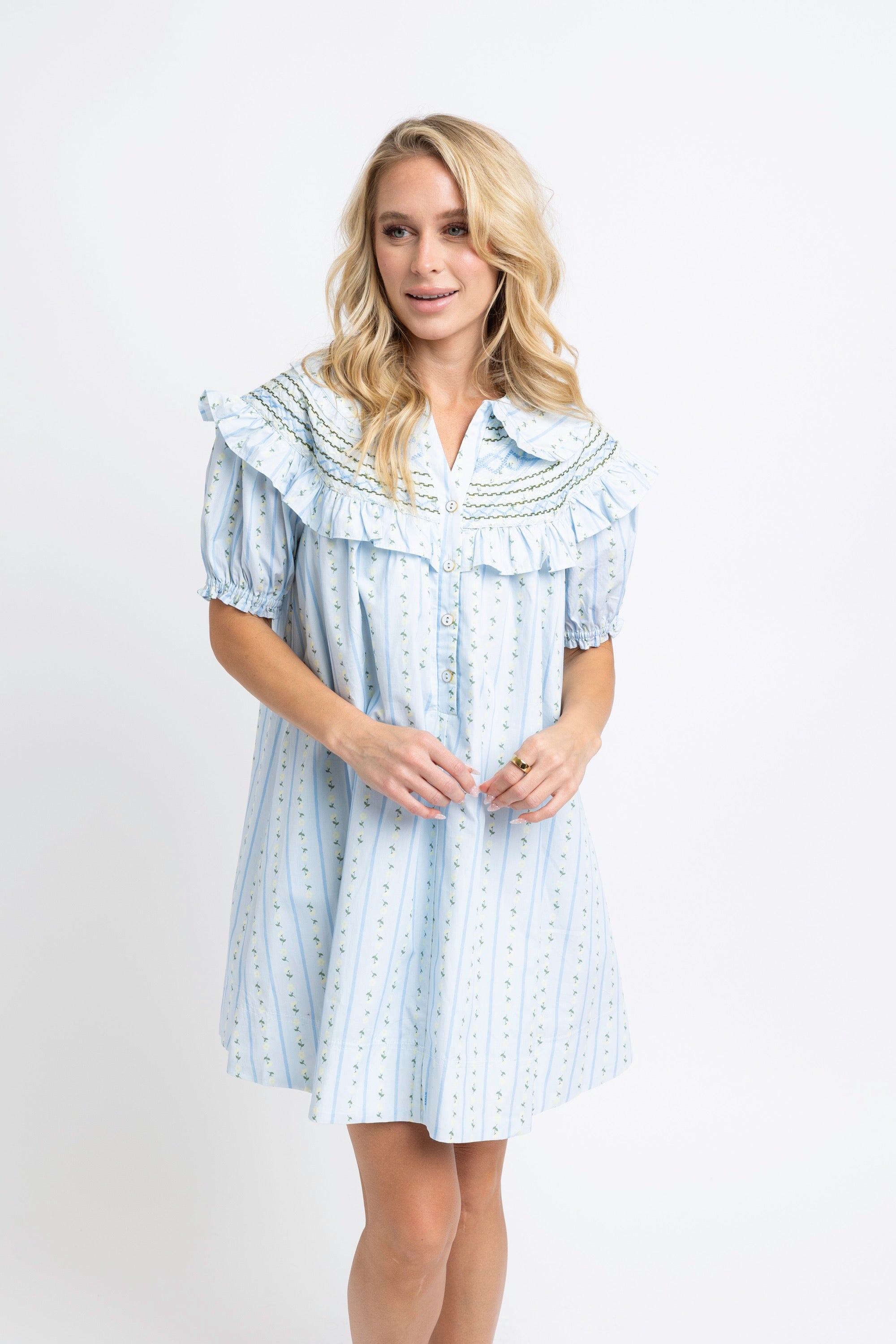 Karlie | Blue Floral Stripe PeterPan Stitched Mini Dress