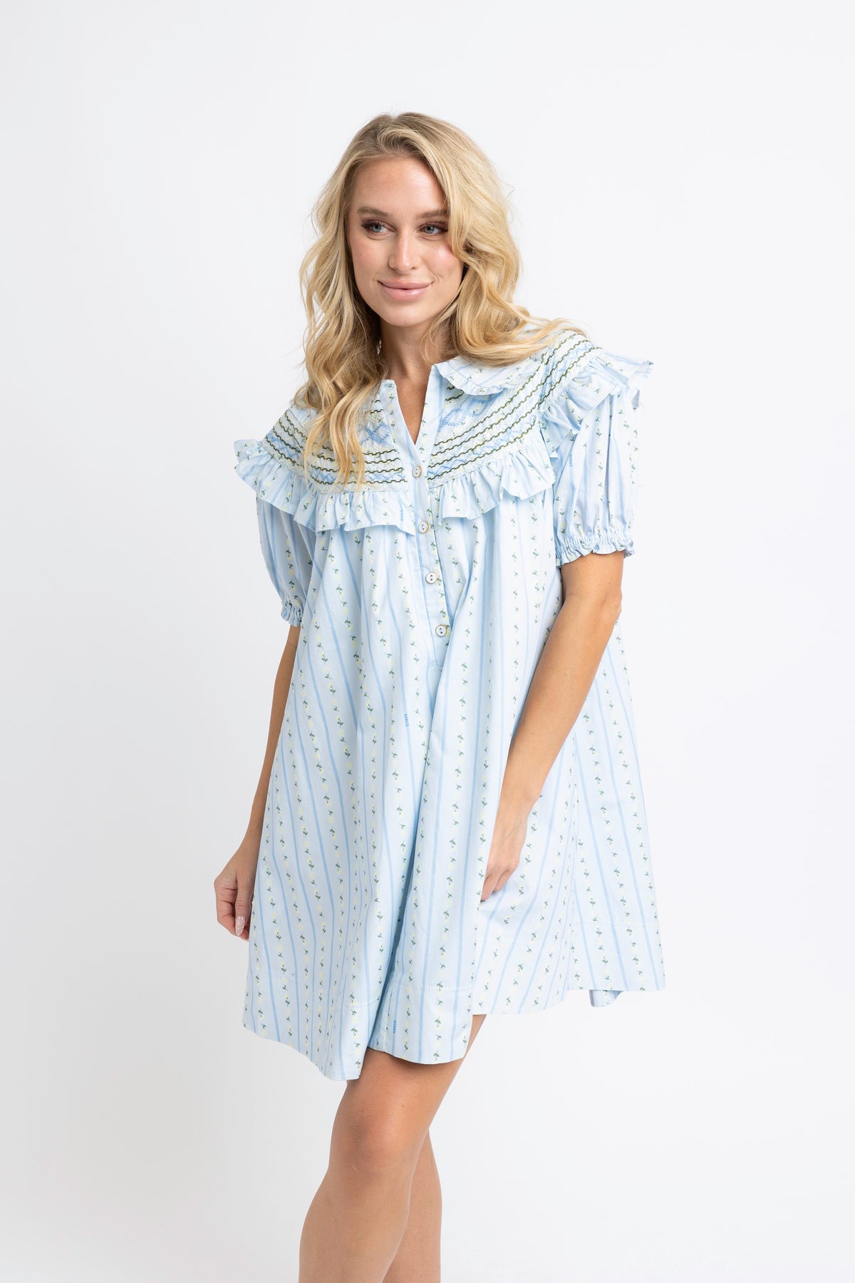 Karlie | Blue Floral Stripe PeterPan Stitched Mini Dress
