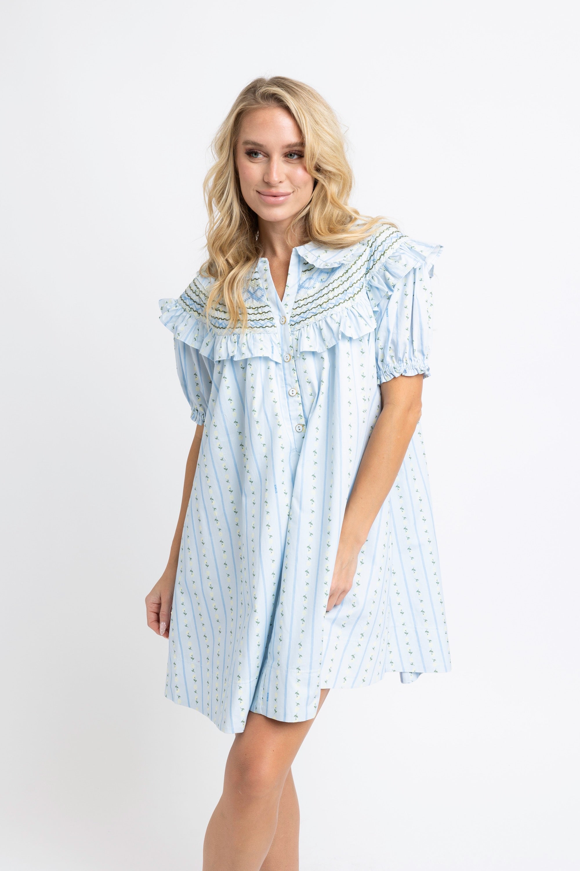 Karlie | Blue Floral Stripe PeterPan Stitched Mini Dress