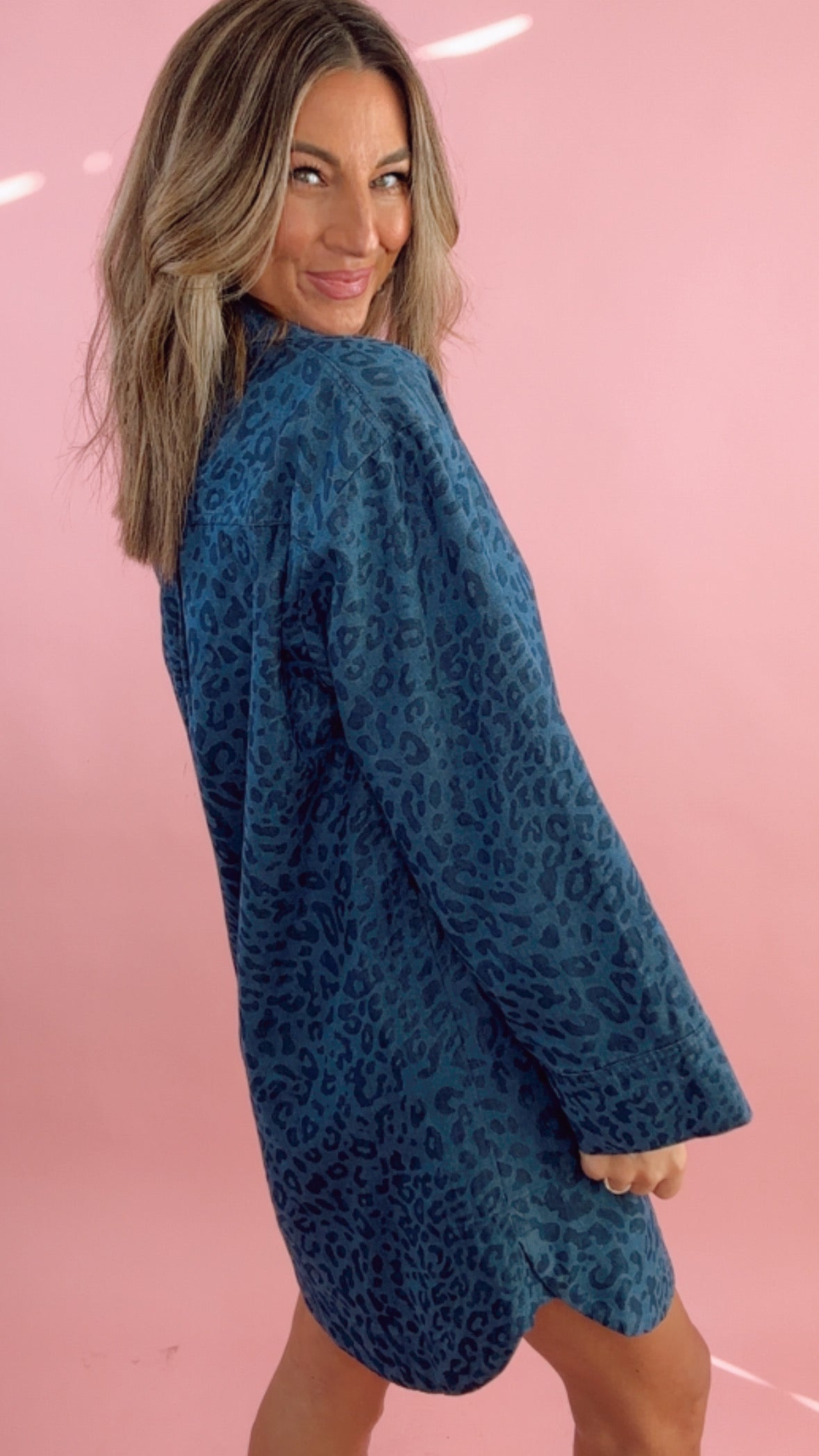 FRNCH Denim Leopard Dress