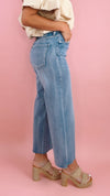 Liverpool Stride Wide Leg in Weir Canyon