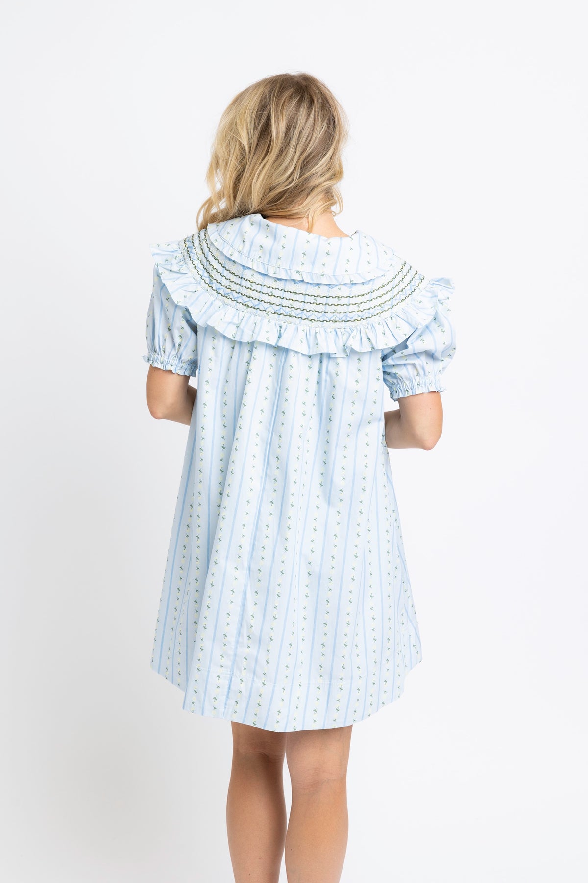 Karlie | Blue Floral Stripe PeterPan Stitched Mini Dress