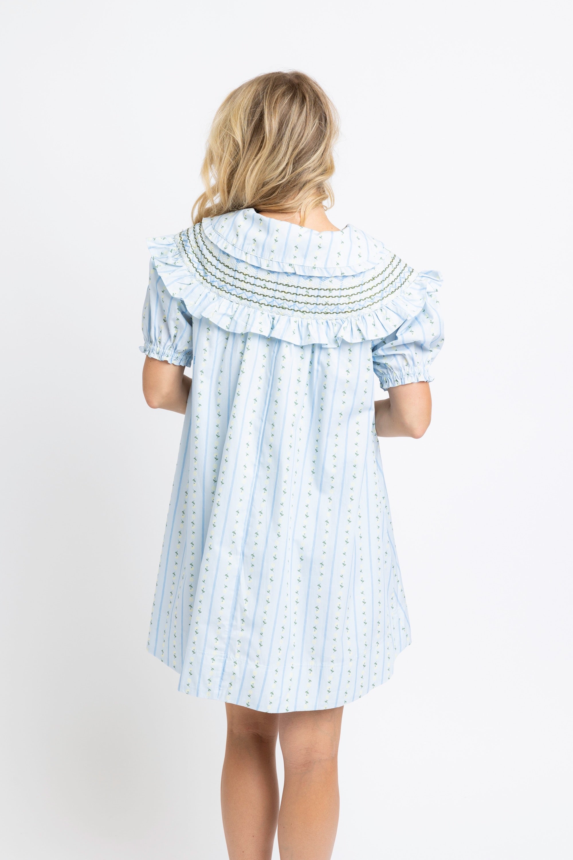 Karlie | Blue Floral Stripe PeterPan Stitched Mini Dress