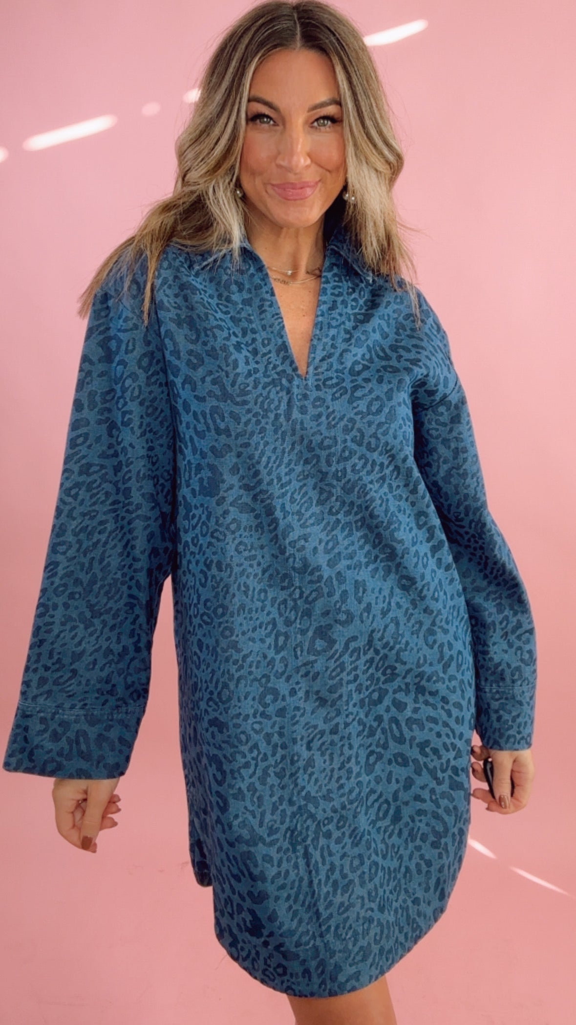FRNCH Denim Leopard Dress