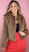 Brown Fur Jacket