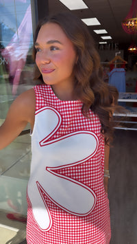 Red Gingham Sleeveless Floral Mini Dress