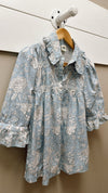 Ivy Jane Blue Smocked Poet Top