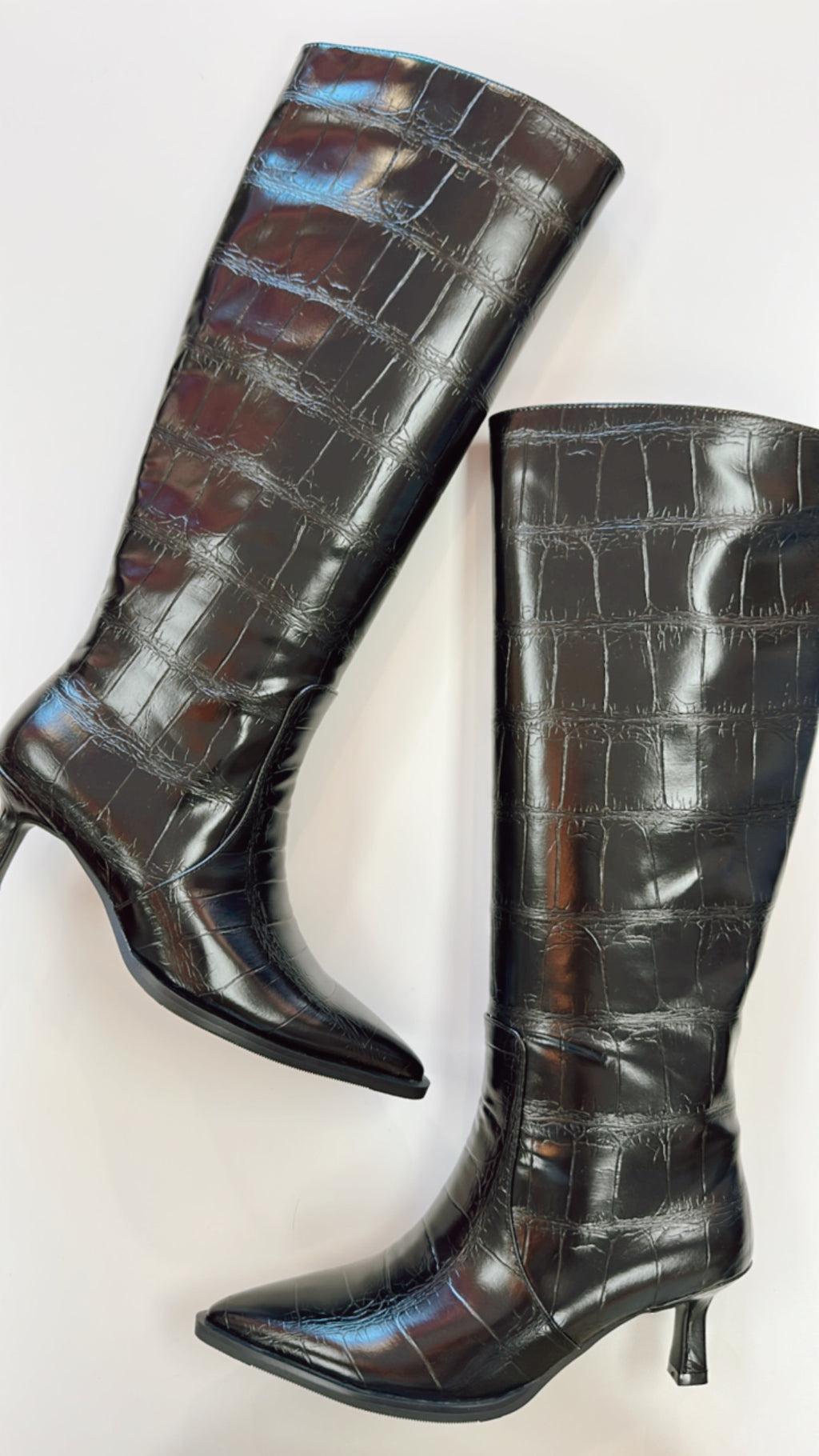 Shushop Vanessa Black Croco Knee High Boots