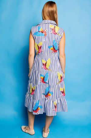 Queen of Sparkles Parrot Stripe Midi Dress