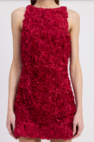 Dark Red 3D Floral Mini Dress