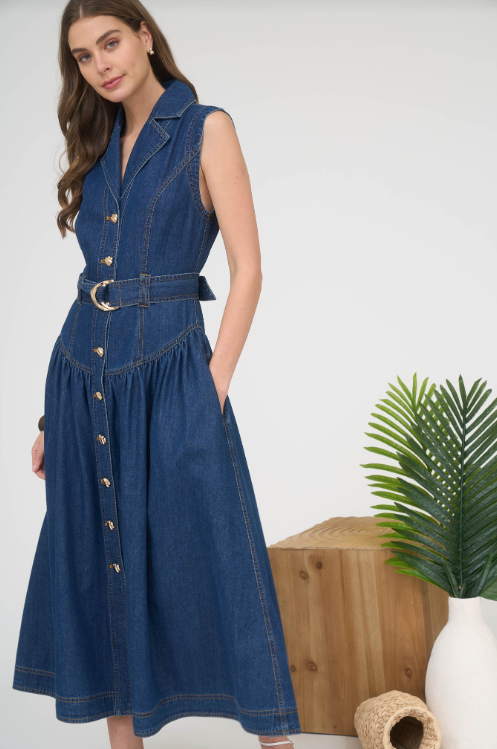 Zoe + Claire |  Dark Denim Maxi (1 MEDIUM)
