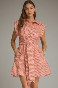 Pink Brown Tie Waist Mini Dress