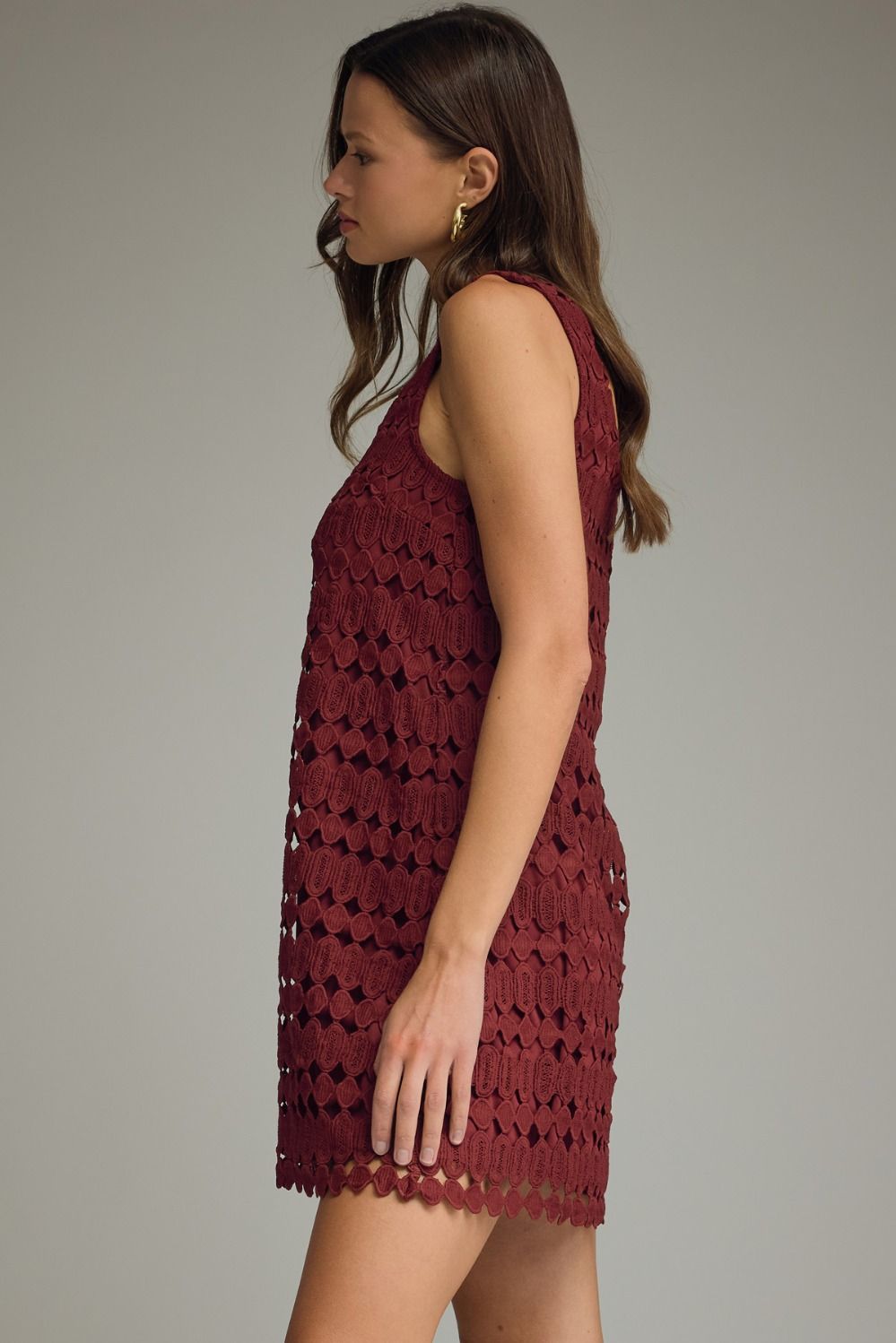 Wine Sleeveless Solid Mini Dress